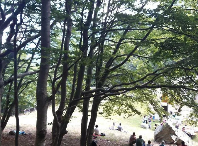 公寓 Casa Augusta *